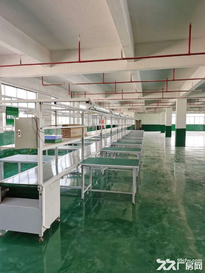 台山工业新城水步工业区平1200平方现成装修厂房出租-图3