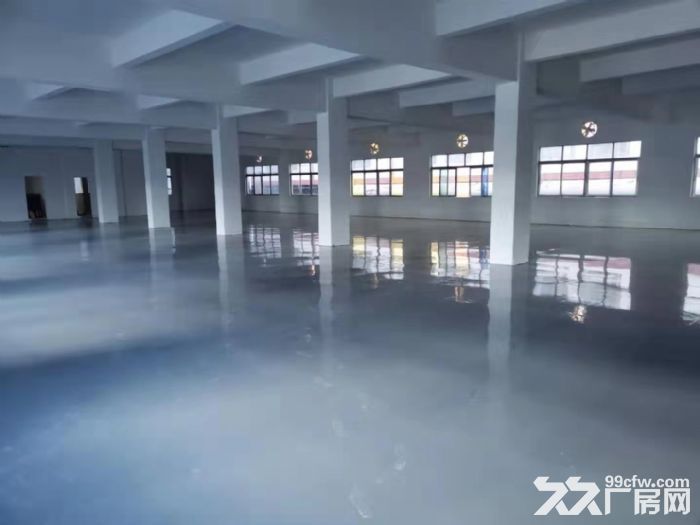 江门台山工业厂房出租-图4