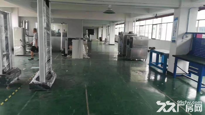 江门台山工业厂房出租-图3