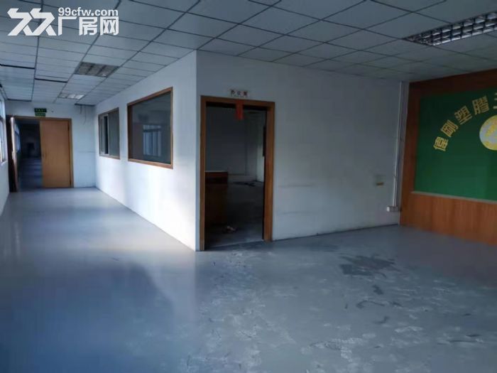 江门台山工业厂房出租-图5