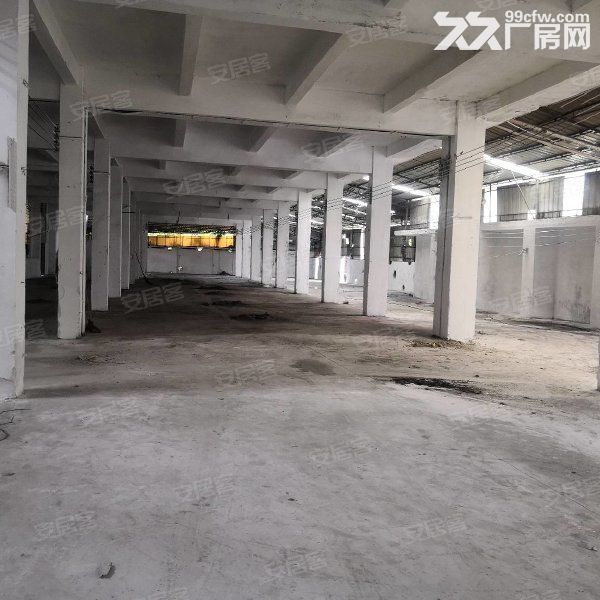 新会双水小冈桥附近工业厂房3500平方，租7元一方-图5