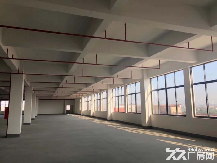 台山工业新城工业园电梯厂方招租，可分租