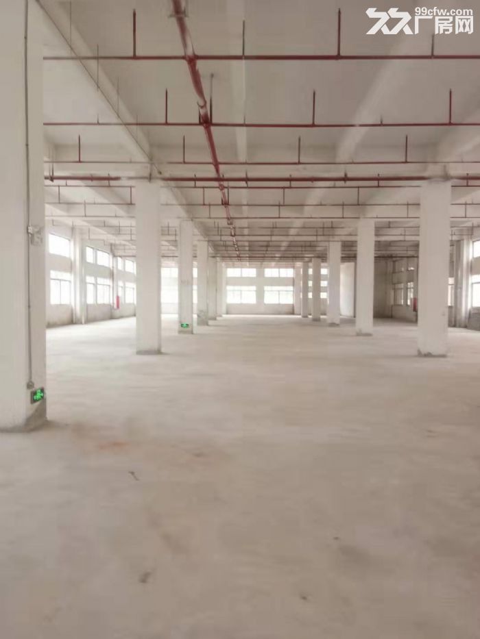 台山工业新城工业园电梯厂方招租，可分租-图3