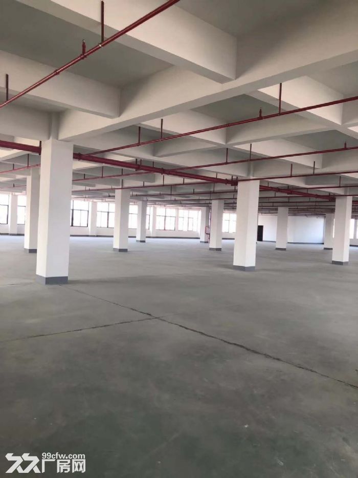 台山工业新城工业园电梯厂方招租，可分租-图5