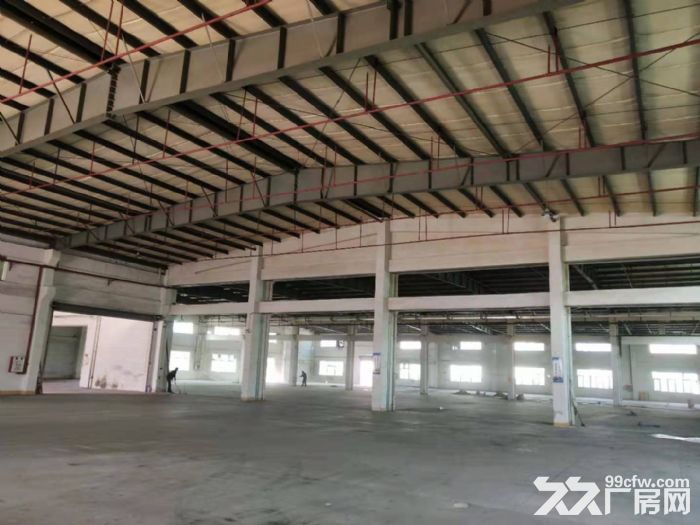 台山台城工业区独院单一层厂房2500平方招租-图4