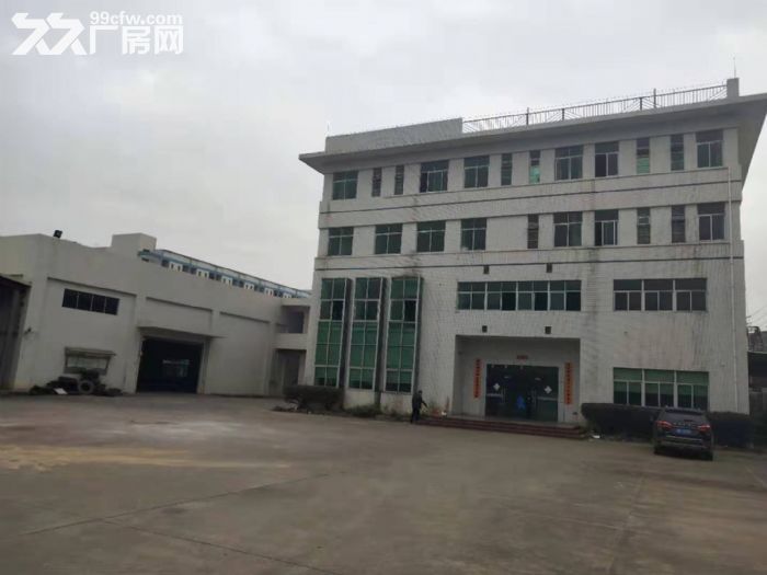 台山台城工业区独院单一层厂房2500平方招租-图5