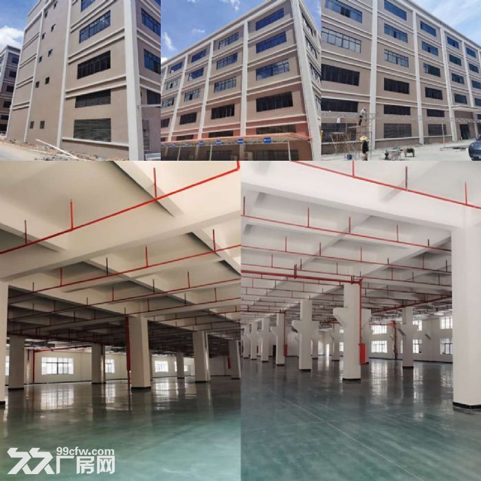 江海工业区厂房招租2400-图2
