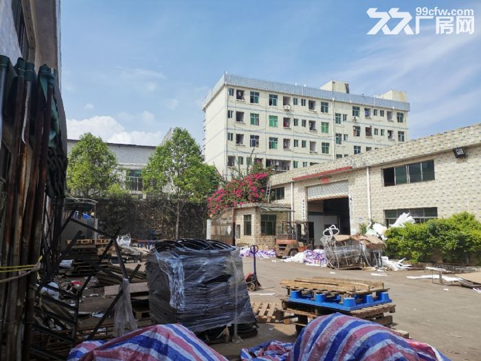 蓬江工业区独院钢构4500招租