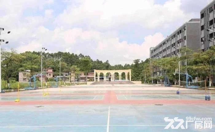 台山可做家具，破碎，喷漆，喷油，抽粒，树脂污染行业厂房出租-图8