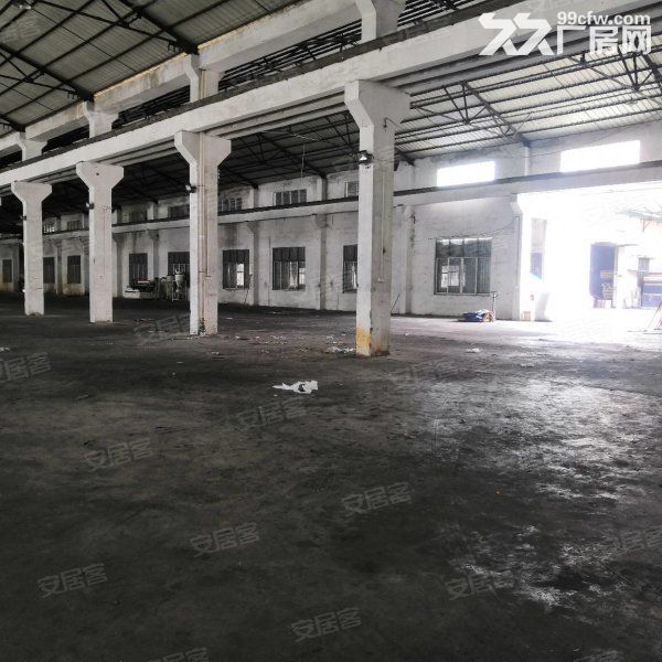 台山北坑工业区独立单一层厂房仓库2000平方招租，水电齐全-图3