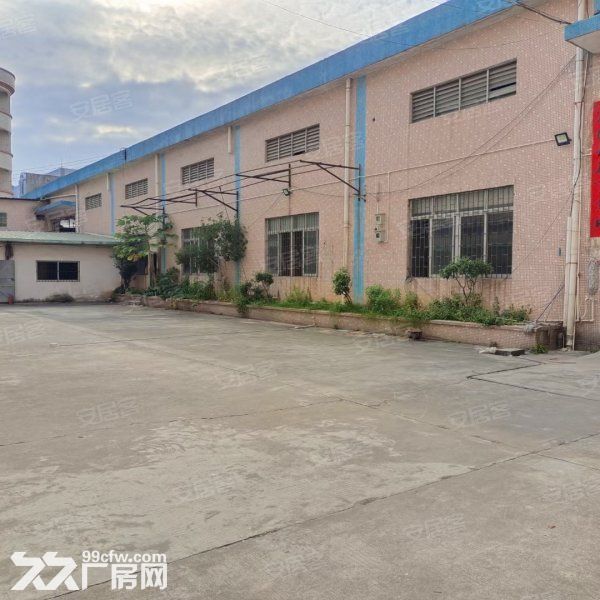 台山北坑工业区独立单一层厂房仓库2000平方招租，水电齐全-图4