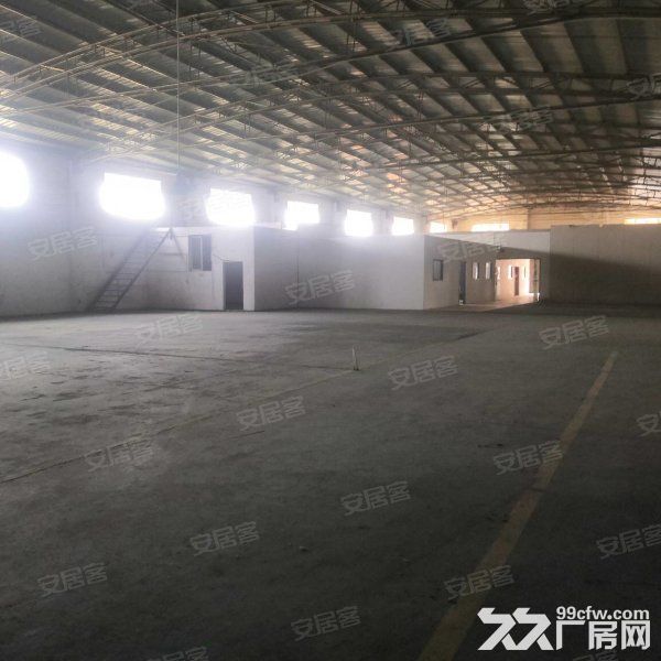 台山北坑工业区独立单一层厂房仓库2000平方招租，水电齐全-图5