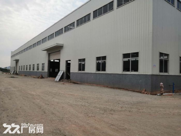 江门新会司前独院新建13米高工业厂房仓库出租-图3