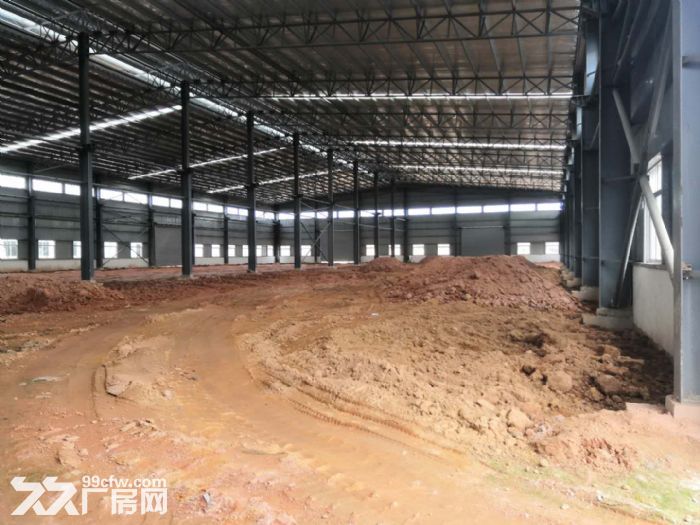 江门新会司前独院新建13米高工业厂房仓库出租-图2