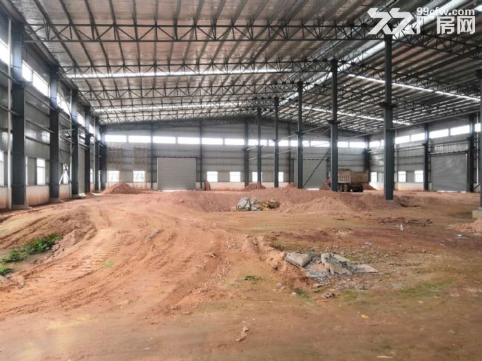 江门新会司前独院新建13米高工业厂房仓库出租-图4