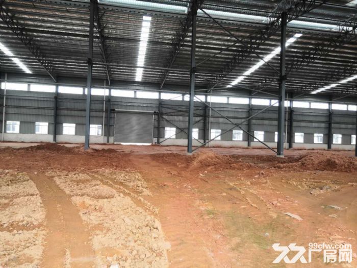江门新会司前独院新建13米高工业厂房仓库出租-图5