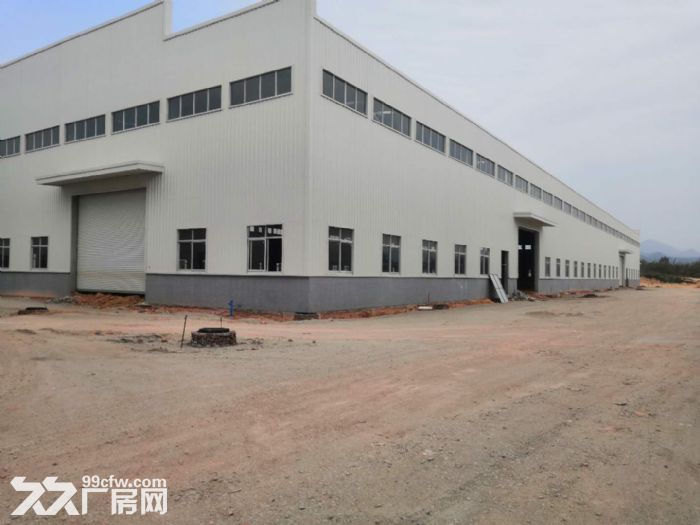 江门新会司前独院新建13米高工业厂房仓库出租-图7