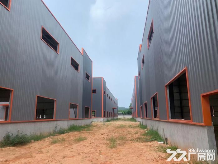 江门市台山市15000平方带牛角工业厂房出租-图5
