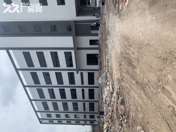 江门新会全新厂房招租