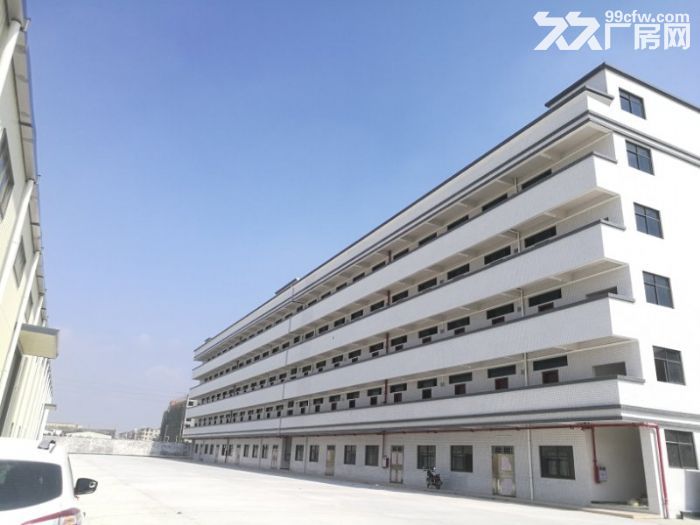 新会高新区工业园15000分租