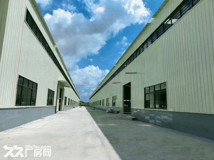 棠下镇重工业厂房出租12000方